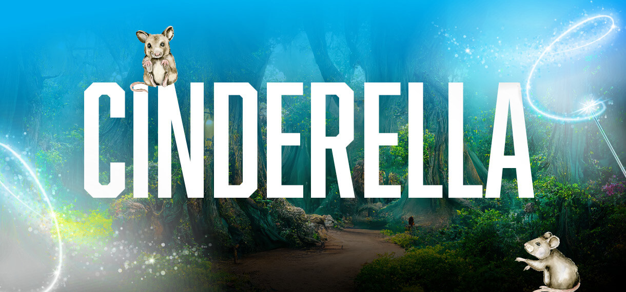 GBT-0100 Cinderella 2025-6 Graphics for Gas South_1220x570